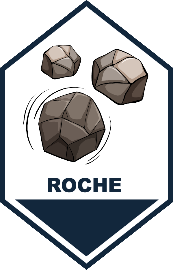 Roche